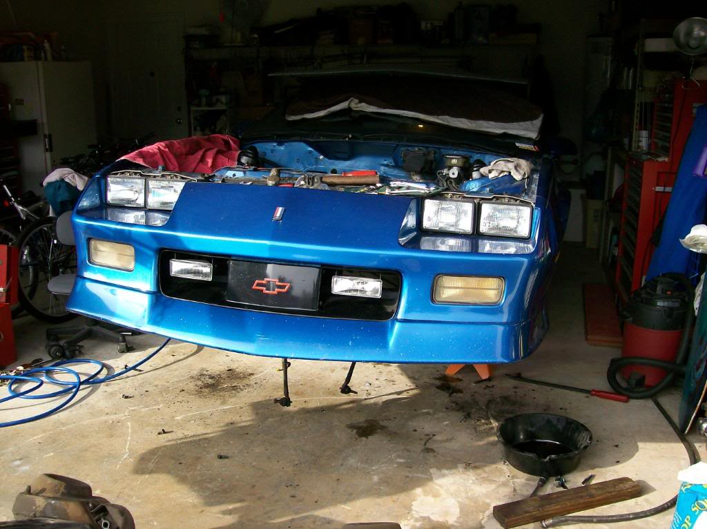 Name:  maro.jpg
Views: 28
Size:  110.7 KB
