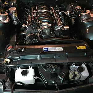New to this Section- First LS Swap-ps6ojcg.jpg
