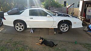 Watch a Rookie Learn How To Swap a LS1 and T56 into a 1992 Z28-3itpcdi.jpg