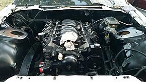 Watch a Rookie Learn How To Swap a LS1 and T56 into a 1992 Z28-oudhoa0.jpg