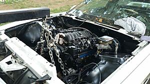 Watch a Rookie Learn How To Swap a LS1 and T56 into a 1992 Z28-wfibptk.jpg