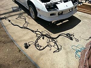 Watch a Rookie Learn How To Swap a LS1 and T56 into a 1992 Z28-d1aikwi.jpg