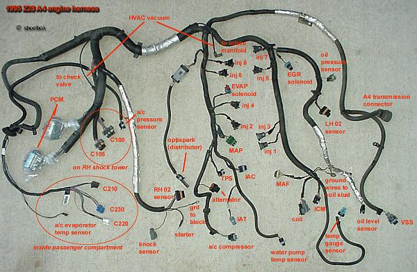 LT1 Wiring for dummies - Third Generation F-Body Message Boards