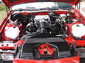 Lets See Some Clean Sport Coupes!-dscf0317-1-.jpg
