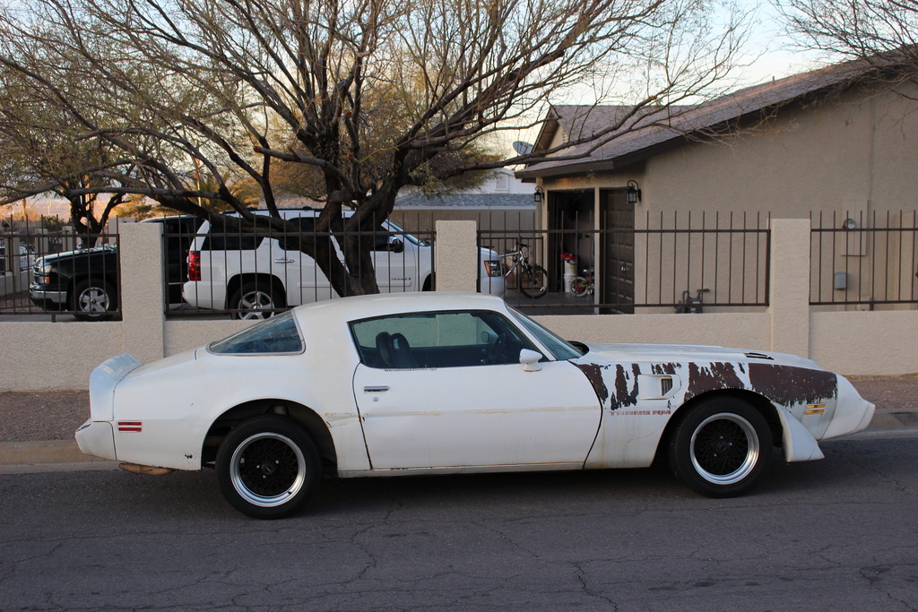 Name: IMG_0307_zpsl5cszcy1.jpg
Views: 515
Size: 292.7 KB