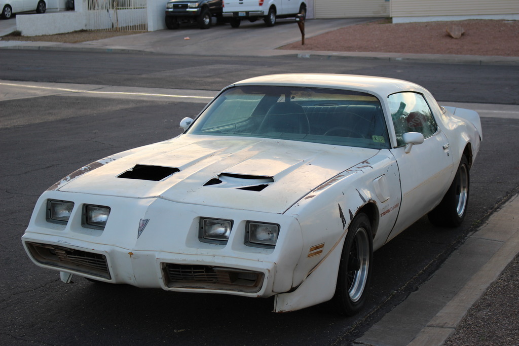 Name: IMG_0305_zpss13theas.jpg
Views: 509
Size: 191.2 KB