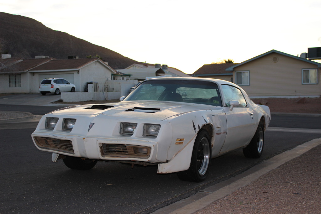 Name: IMG_0304_zpsvmnz8fux.jpg
Views: 508
Size: 168.9 KB