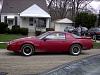 1983 Trans Am for sale in SE Michigan-driver-side.jpg