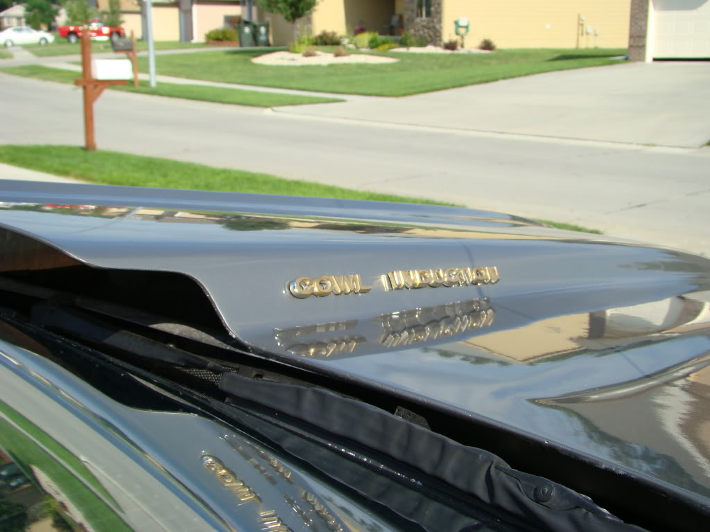 Name:  7-20-2010113.jpg
Views: 207
Size:  107.3 KB