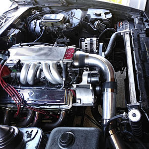Chronicles of a 9 Second Trans Am... Final Chapter-305.jpg