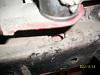 Convertible Lower Control Arms-100_2006b.jpg