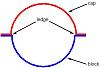 Weird line bore/hone... advice???-main_cap_problem.jpg