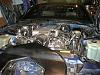 Spark Plugs Wire Loom?!-engine_done.jpg
