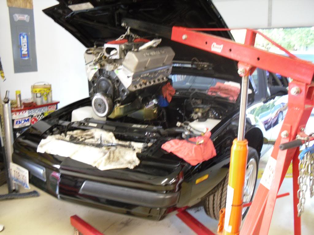Name:  GNX247.jpg
Views: 30
Size:  105.1 KB