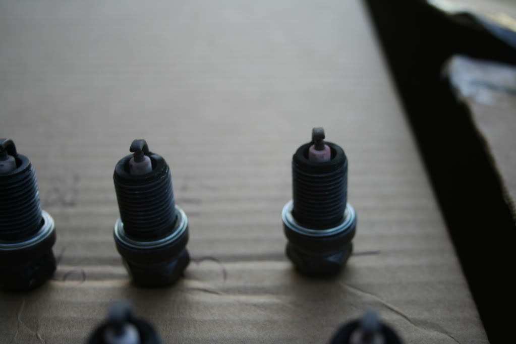 Name:  Plugs005.jpg
Views: 90
Size:  37.7 KB