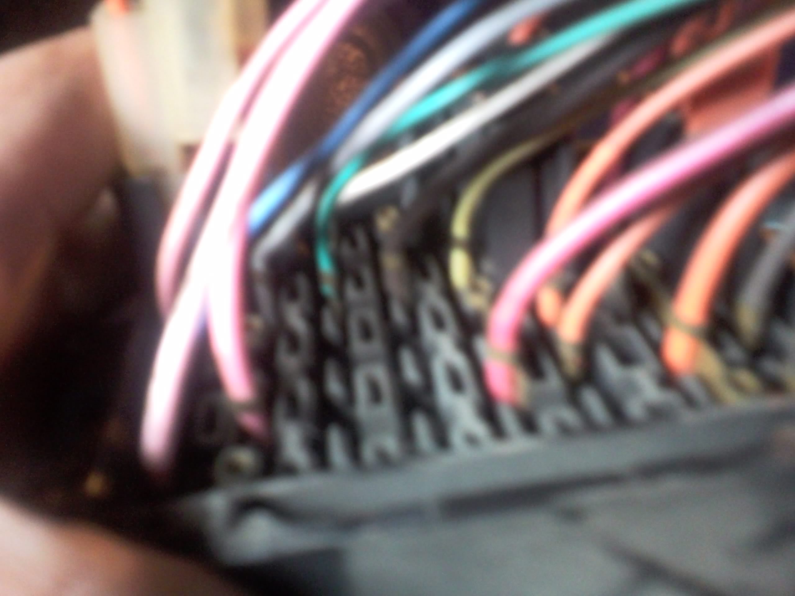 Name:  SNC00052.jpg
Views: 83
Size:  232.3 KB