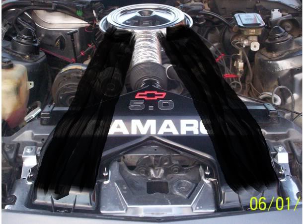 Name:  aircleaner.jpg
Views: 1130
Size:  52.1 KB