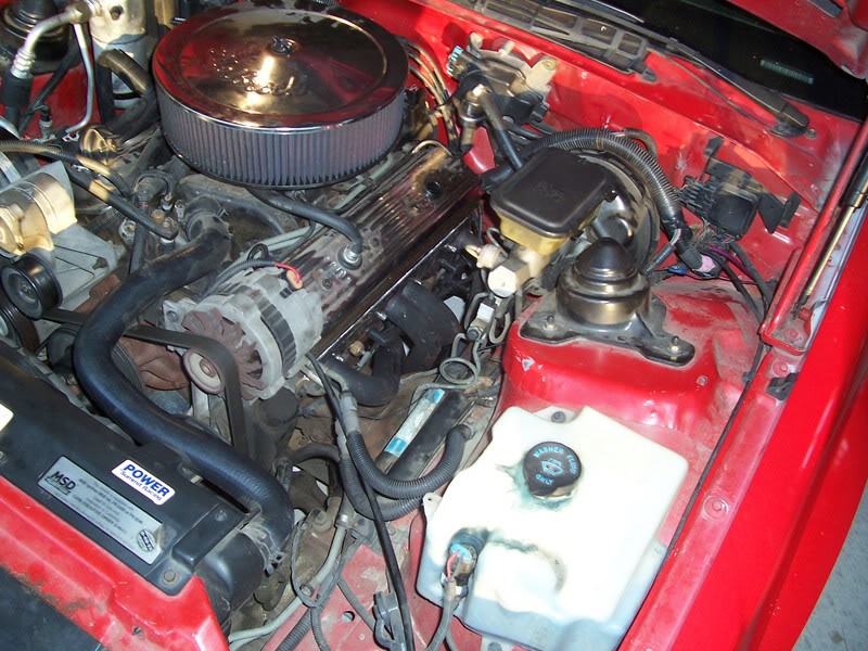 Name:  100_5841.jpg
Views: 338
Size:  129.5 KB