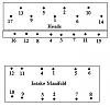 heads-bolt-sequence.jpg