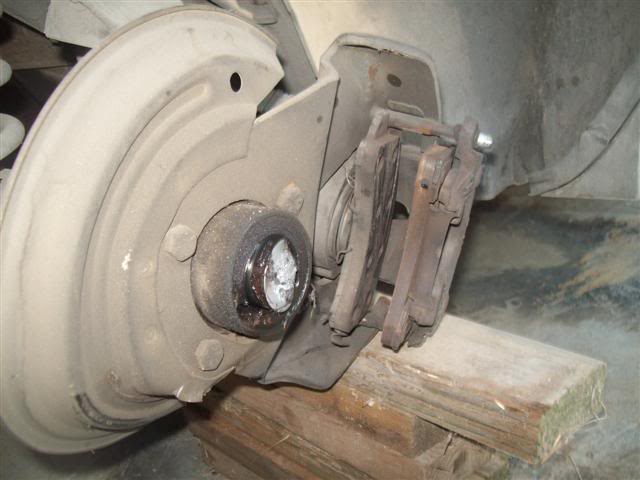 Name:  100_0883Small.jpg
Views: 20
Size:  39.7 KB