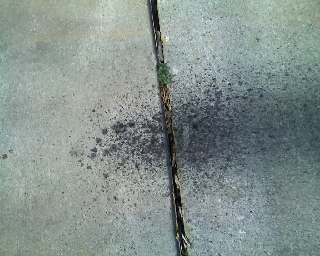 Name: oilspray.jpg
Views: 20
Size: 162.6 KB