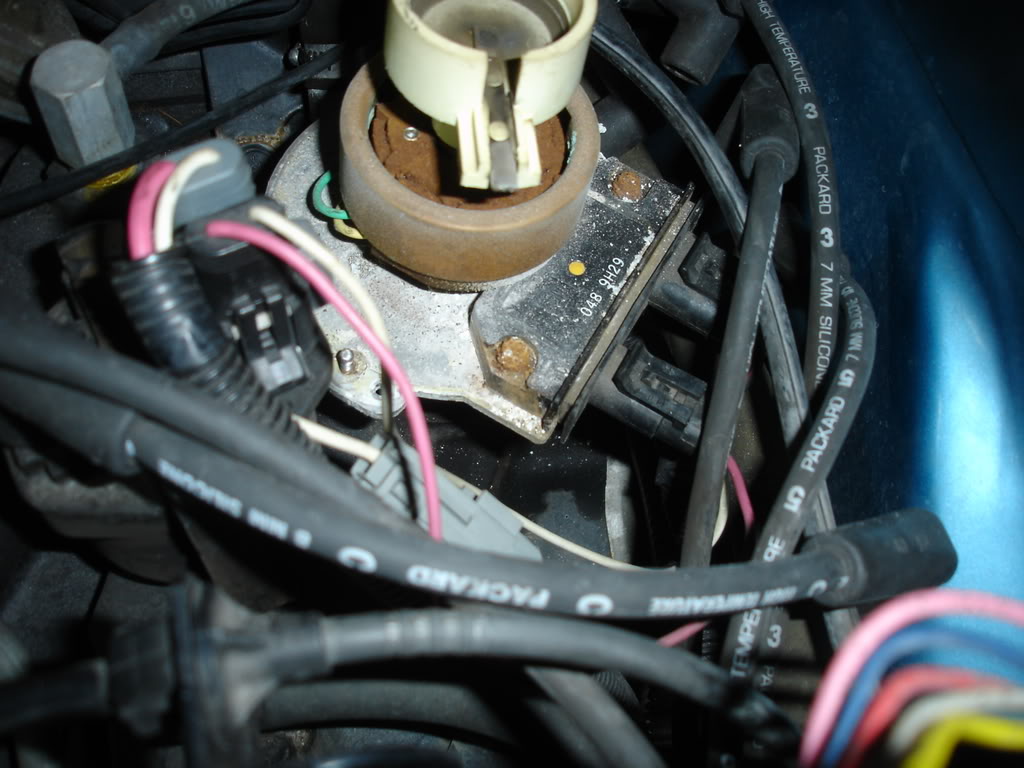 (Pics) What is inside my distributor cap! - Third ... 95 camaro alternator wiring diagram 