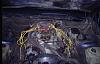 pics of accessory brackets for 461 heads-engine2.jpg