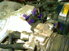 Readjusting Shift Points and Tach-detent.gif