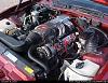 Firebird questions-tpi.jpg