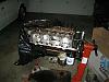 Looking for some advice-img_0445.jpg