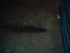 WTF is wrong with my engine.....arrrgghhh-im000545.jpg