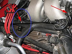 What is this crankcase hose called? TPI-pcvfreshairside_zps342b6543.jpg