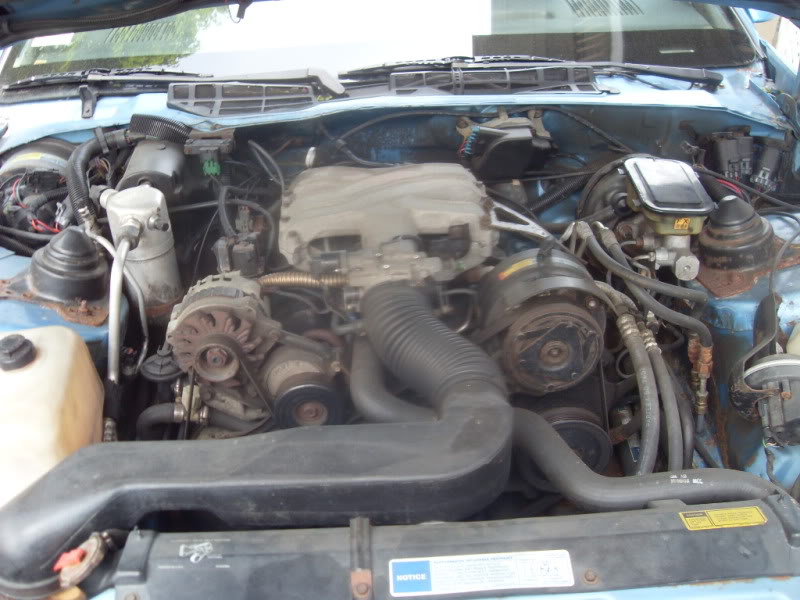 Name:  SDC10079.jpg
Views: 19
Size:  112.5 KB