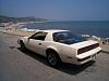 Few questions that need to be answered about my Firebird-firebird-20-pacific-20ocean.jpg