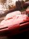 Mis 3rd gen's Avatar