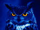Night Owl's Avatar