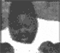ARdoller's Avatar