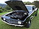 84 HO Trans Am's Avatar