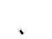 vapiper's Avatar